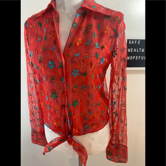 Unknown Sheer Embroidered Top - Picture 3 of 6